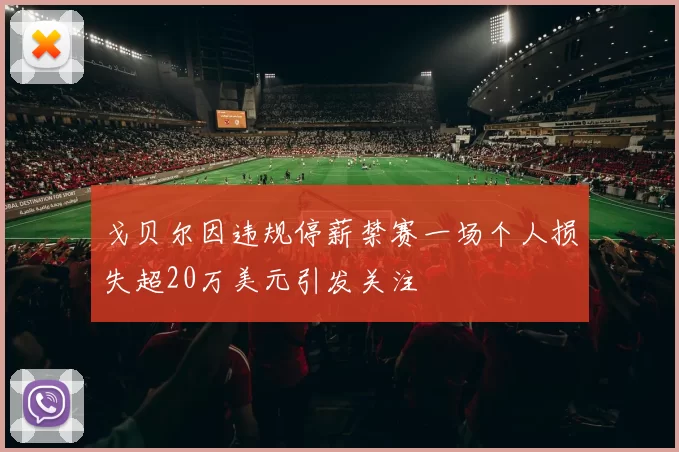 戈贝尔因违规停薪禁赛一场个人损失超20万美元引发关注